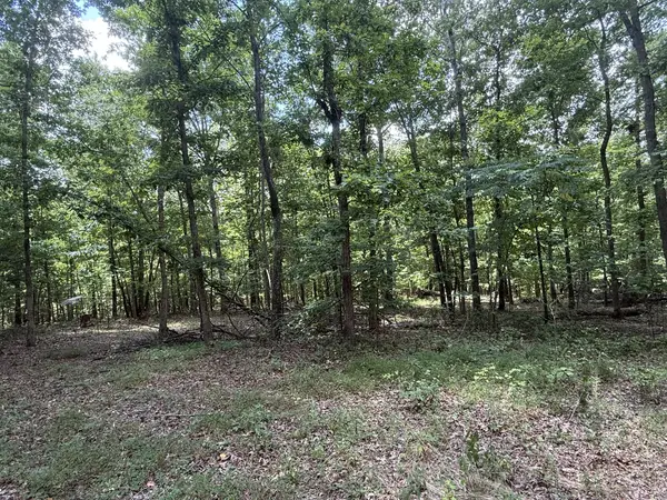 1338 Southside Rd, Southside, TN 37171
