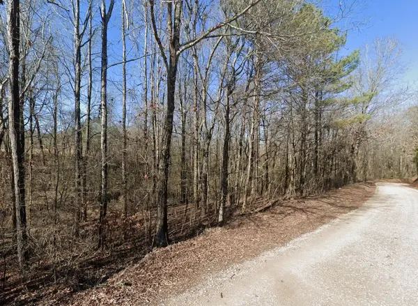 0 Malone Cemetery Rd, Finger, TN 38334