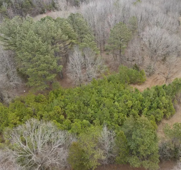 0 Malone Cemetery Rd, Finger, TN 38334