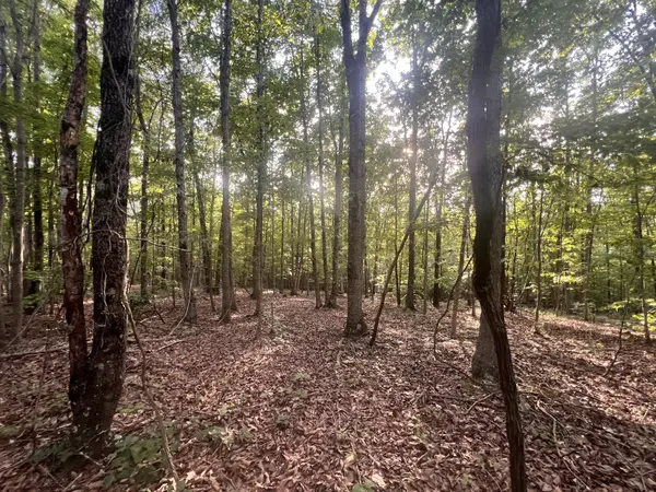 0 Vickers Rd, Big Sandy, TN 38221