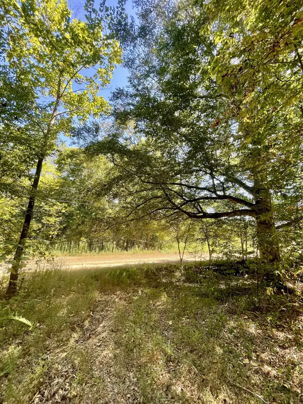 321 Lowery Cemetery Rd, Cumberland City, TN 37050