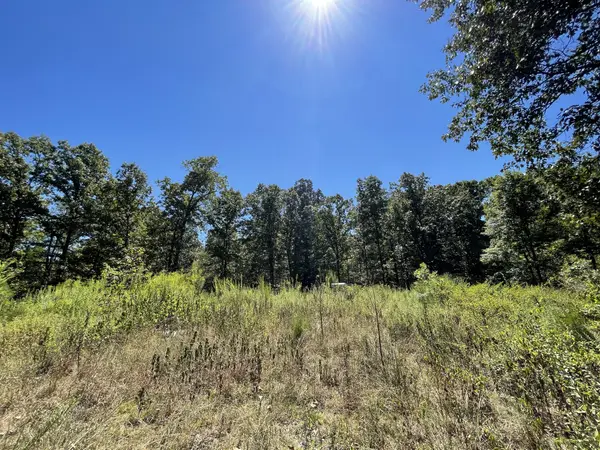 321 Lowery Cemetery Rd, Cumberland City, TN 37050