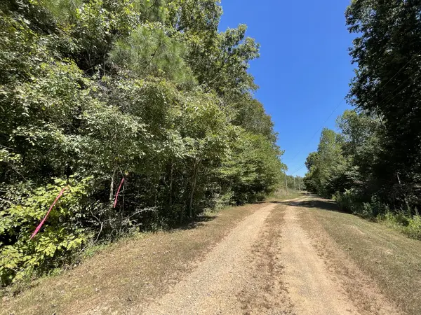 321 Lowery Cemetery Rd, Cumberland City, TN 37050