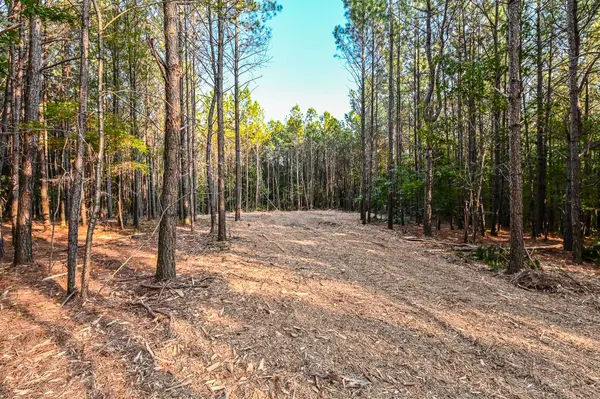 0 Brush Creek Rd, Hohenwald, TN 38462