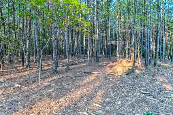 0 Brush Creek Rd, Hohenwald, TN 38462