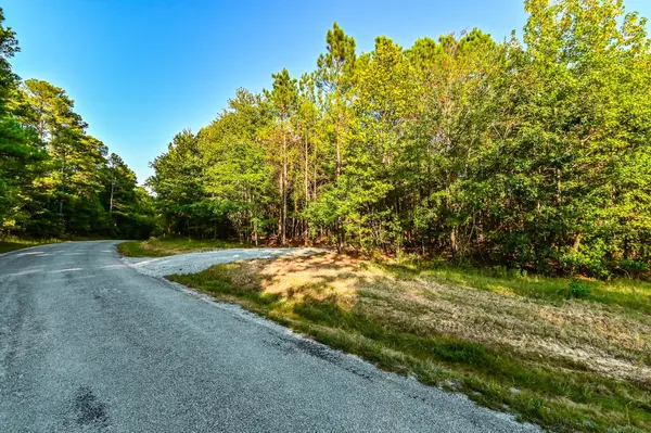 0 Brush Creek Rd, Hohenwald, TN 38462