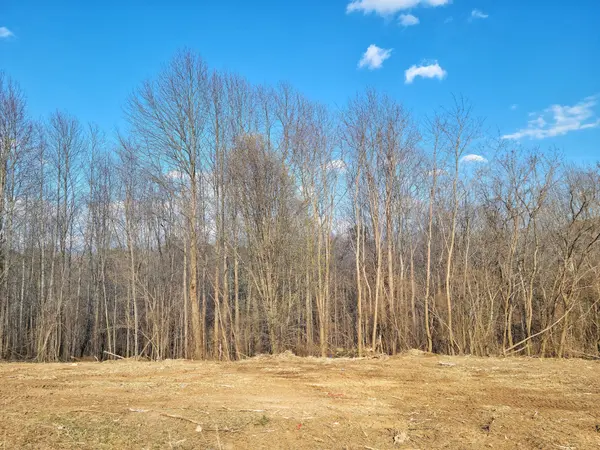 162 Happy Hollow Rd, Hohenwald, TN 38462