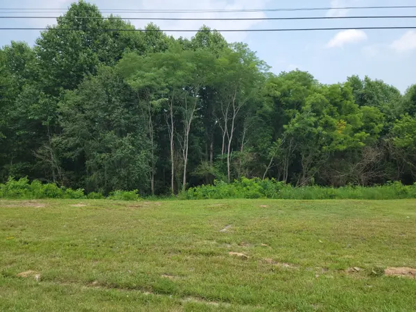 162 Happy Hollow Rd, Hohenwald, TN 38462