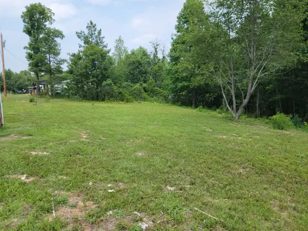 166 Happy Hollow Rd, Hohenwald, TN 38462