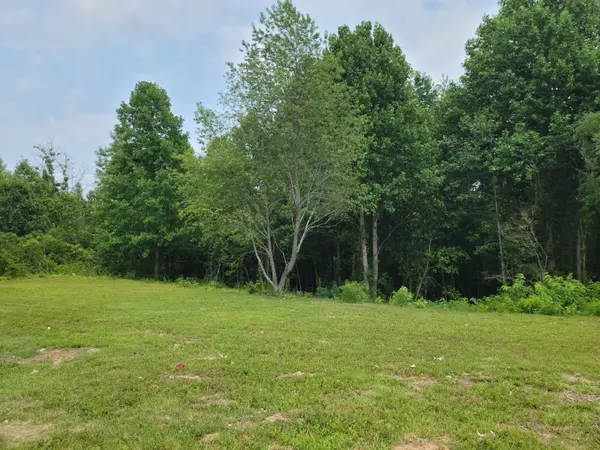 166 Happy Hollow Rd, Hohenwald, TN 38462