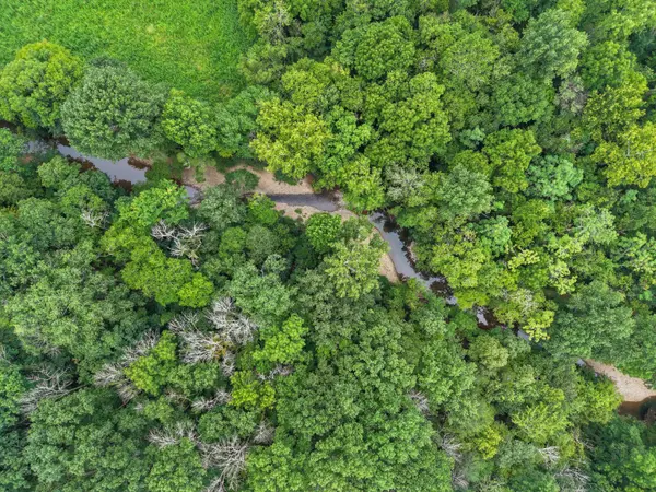 0 Leipers Creek, Franklin, TN 37064