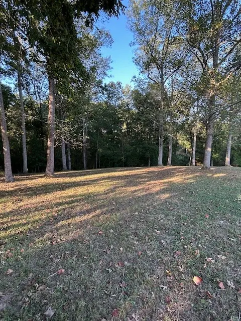 1199 Rosewood Dr, Centerville, TN 37033