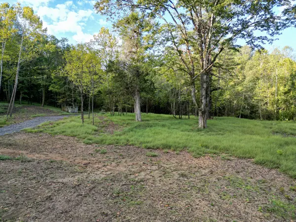 0 Cathey Hollow Road, Burns, TN 37029