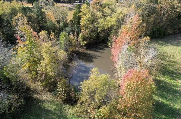 2375 Poplar Grove Rd, Springville, TN 38256