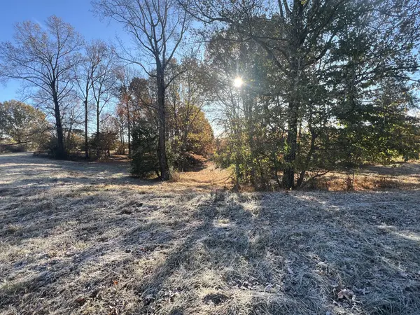 0 Liberty Hill Road, Minor Hill, TN 38473
