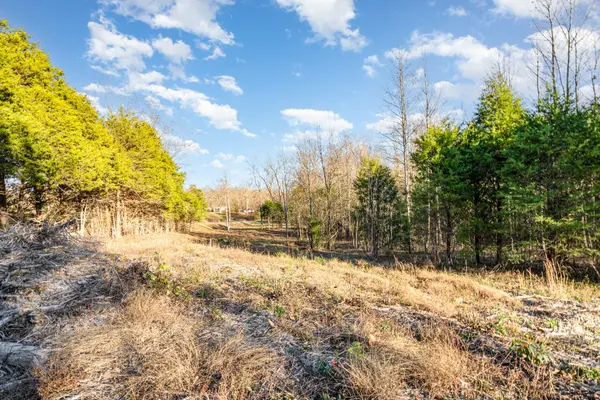 0 Maple Valley Rd, Cumberland Furnace, TN 37051