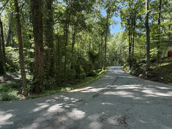3 Low Gap Road, Gatlinburg, TN 37738