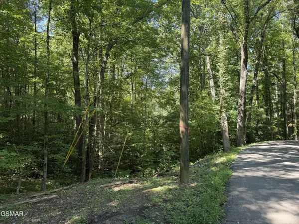 3 Low Gap Road, Gatlinburg, TN 37738