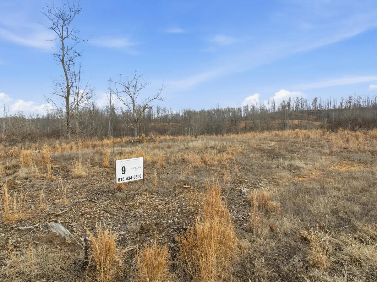 0 Saddleback Drive, Dover, TN 37058