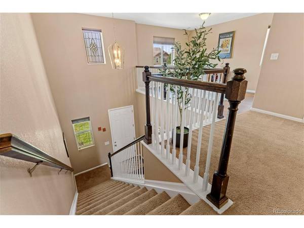 6246 Walnut Grove, Erie, CO 80516