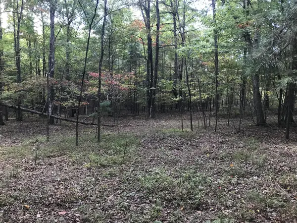 57 Deer Point Drive, Dunlap, TN 37327