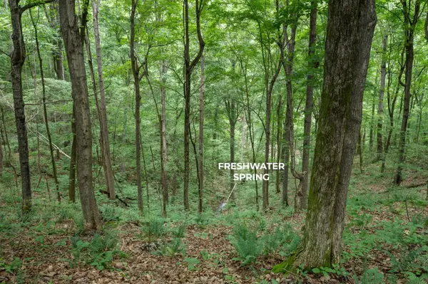 0 Grays Point Road, Joelton, TN 37080