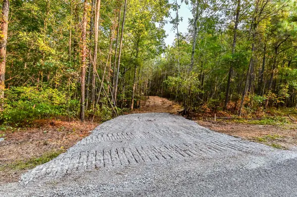 0 Brush Creek Rd, Hohenwald, TN 38462