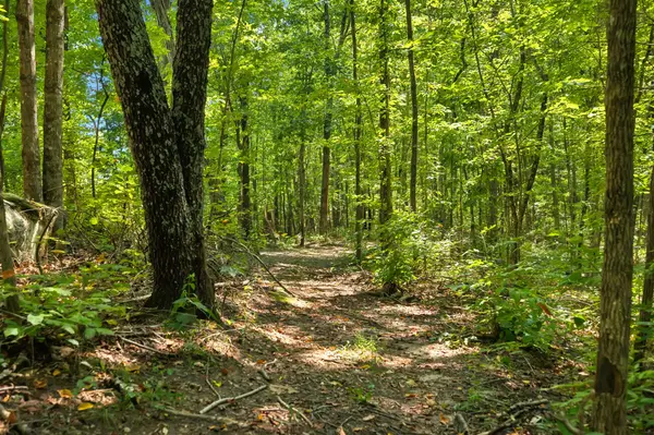 0 Middle Ridge Road, Beersheba Springs, TN 37305