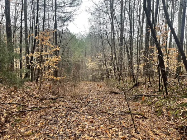 7822 Barnhill Rd, Primm Springs, TN 38476