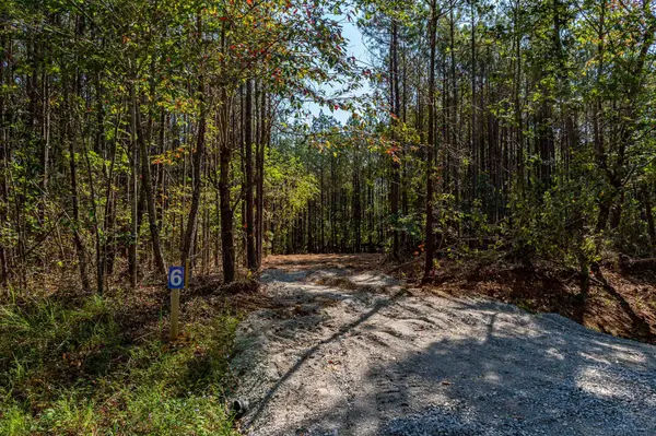 0 Brush Creek Rd, Hohenwald, TN 38462