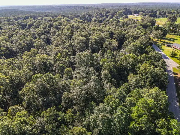 0 Brush Creek Rd, Hohenwald, TN 38462
