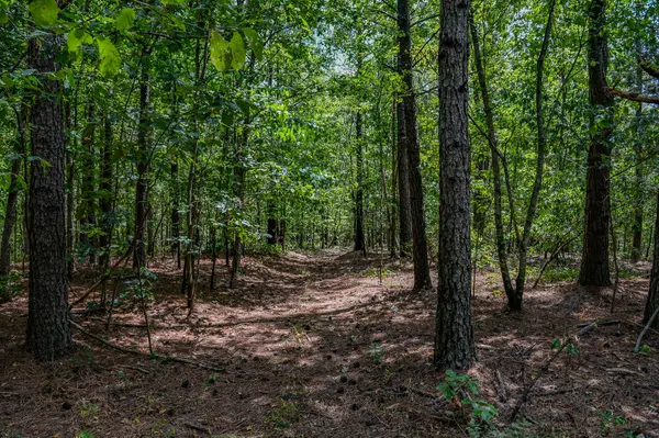 0 Brush Creek Rd, Hohenwald, TN 38462