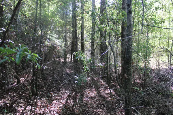 24994 7th Avenue, Ardmore, AL 35739