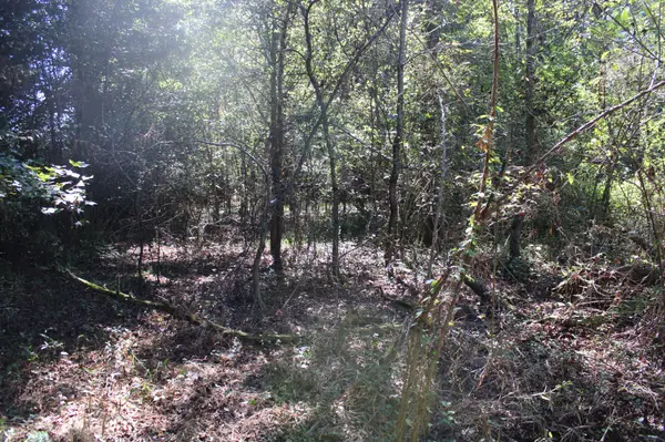 24994 7th Avenue, Ardmore, AL 35739