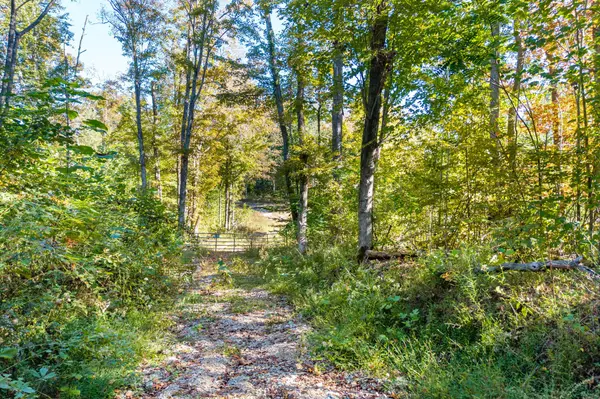 408 Massingille Lane, Allons, TN 38541