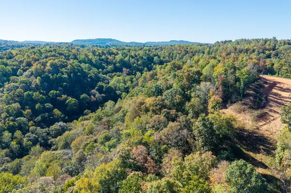 408 Massingille Lane, Allons, TN 38541