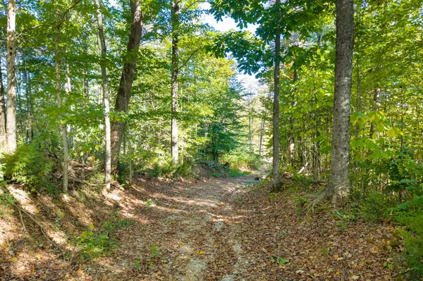 408 Massingille Lane, Allons, TN 38541