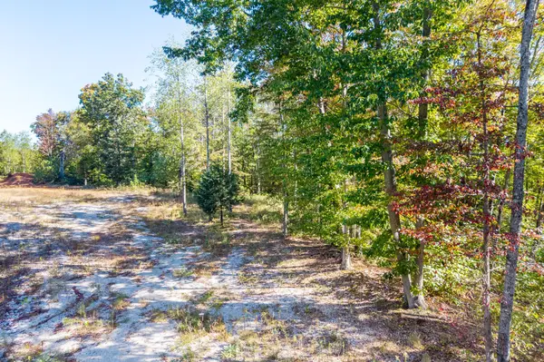 408 Massingille Lane, Allons, TN 38541