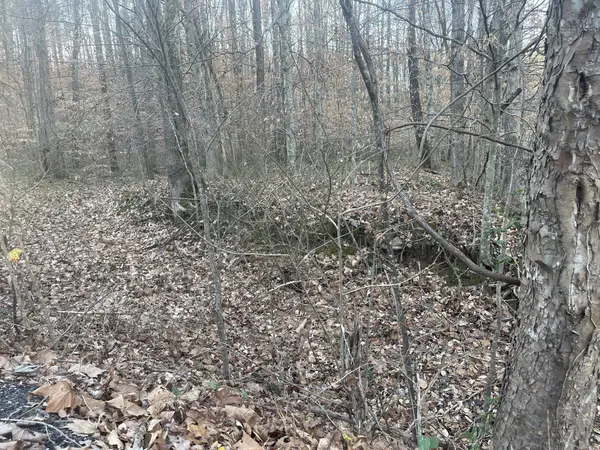 16 Autumn Trail, Dover, TN 37058