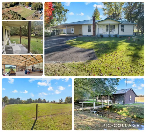 16829 David Crockett Pkwy #W, Elora, TN 37328