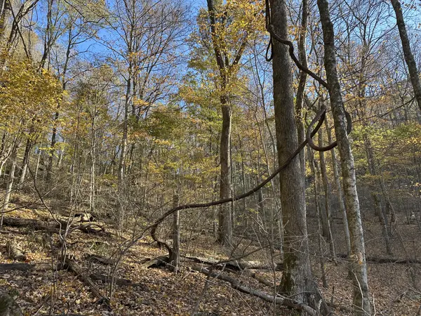 0 Lake View Drive, Smithville, TN 37166