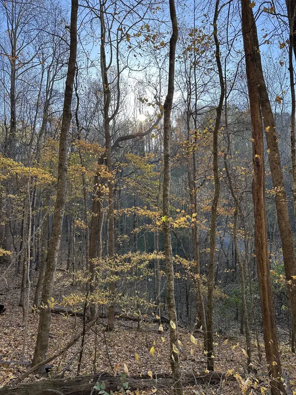 0 Lake View Drive, Smithville, TN 37166