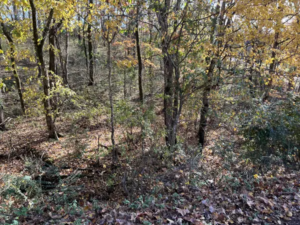 0 Hunters Lane, Ashland City, TN 37015