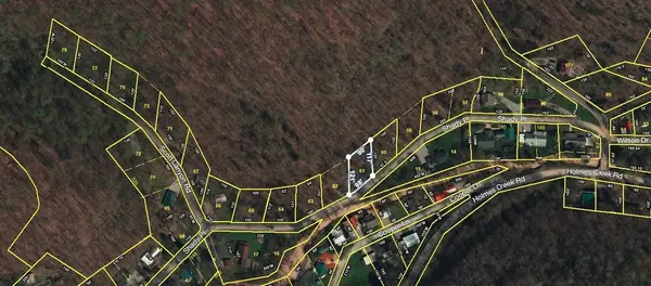 0 Loftis Gap Rd, Smithville, TN 37166