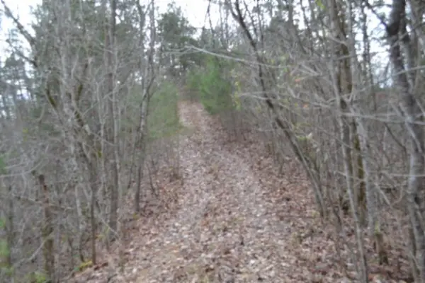 0 Frogue Rd, Burkesville, KY 42717