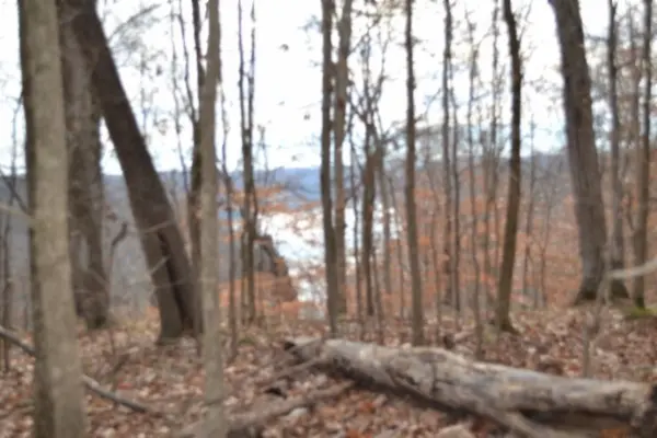 0 Frogue Rd, Burkesville, KY 42717