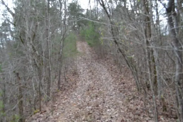 0 Frogue Rd, Burkesville, KY 42717
