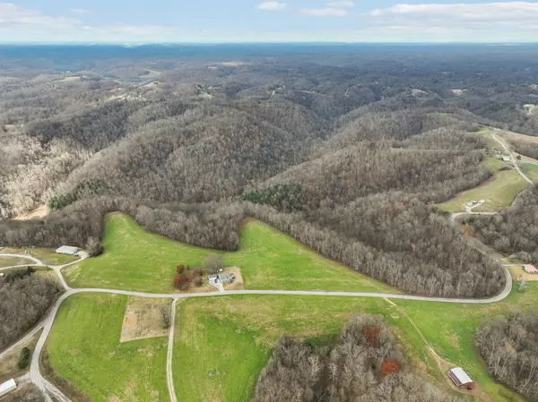 0 Clemons Ridge Road, Silver Point, TN 38582