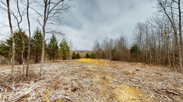 0 Horseshoe Hollow rd, Dover, TN 37058