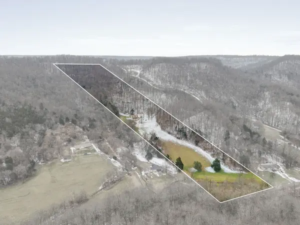 7401 Burks Hollow Rd, Christiana, TN 37037